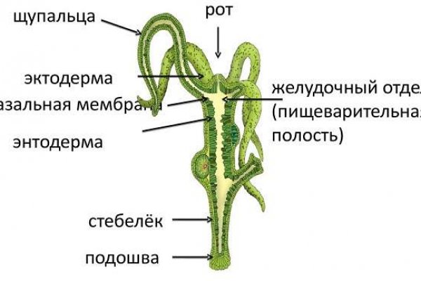 Купить жидкость для вейпа бошки