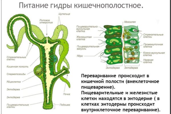 Заказать посылку с даркнета